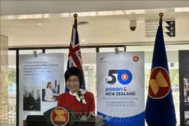La Embajadora Ton Thi Ngoc Huong, Representante Permanente de Vietnam ante la ASEAN, habla en la ceremonia de apertura de la exposición fotográfica (Foto: VNA).