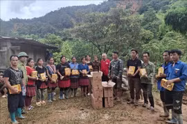 La Cruz Roja de Vietnam ha aprobado un paquete de ayuda humanitaria urgente por un valor aproximado de 25 mil 600 dólares (Fuente: VNA)