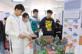 Proyectos estudiantiles que participan en el Concurso Provincial de Ciencia y Tecnología y el Festival STEM para estudiantes de secundaria organizados por el Departamento Provincial de Educación y Formación de Ninh Binh del 6 al 9 de enero de 2026. Foto: VNA