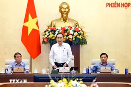 El presidente de la AN, Tran Thanh Man (Fuente: VNA)
