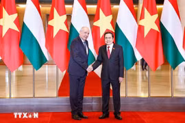 El presidente de la Asamblea Nacional de Vietnam, Tran Thanh Man, se reúne con el presidente húngaro, Sulyok Tamas, durante una visita oficial a Vietnam. Fuente: VNA