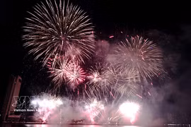 Skylighter Fireworks ofreció un espectáculo de fuegos artificiales con música en directo (Fuente: VNA)