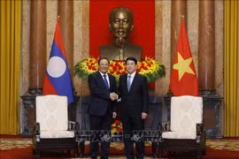 El presidente vietnamita, Luong Cuong (derecha) recibe al primer ministro de Laos, Sonexay Siphandone (Fuente: VNA)