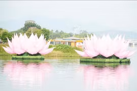 Dos de las siete flores de loto fueron lanzadas al río Perfume en la ciudad de Hue, como parte de los preparativos para la celebración del cumpleaños de Buda (calendario budista 2570). Foto: VNA