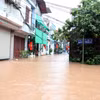 Tifón Narra causa fuertes lluvias y daños en la región norteña de Vietnam (Foto: VNA)