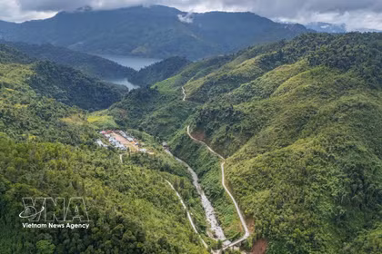 Despiertan potencial económico de zonas forestales y montañosas en Da Nang