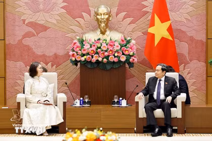El presidente de la Asamblea Nacional, Tran Thanh Man, recibió en visita de cortesía a la embajadora de Mongolia en Vietnam, Ganbaatar Hulan. (Foto: VNA)