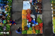 Mercado “chom hom” refleja la vida rural del Delta del Mekong