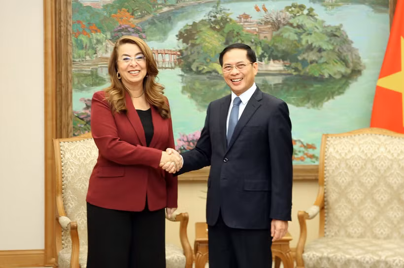 El viceprimer ministro de Vietnam, Bui Thanh Son, recibe a Ghada Waly, subsecretaria general de las Naciones Unidas (Fuente: VNA)
