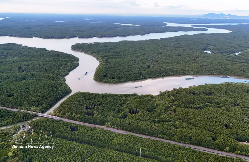 La línea de metro Ben Thanh-Can Gio discurrirá en paralelo a la carretera Rung Sac, contribuyendo a la transformación ecológica de la zona de Can Gio. (Foto: VNA)