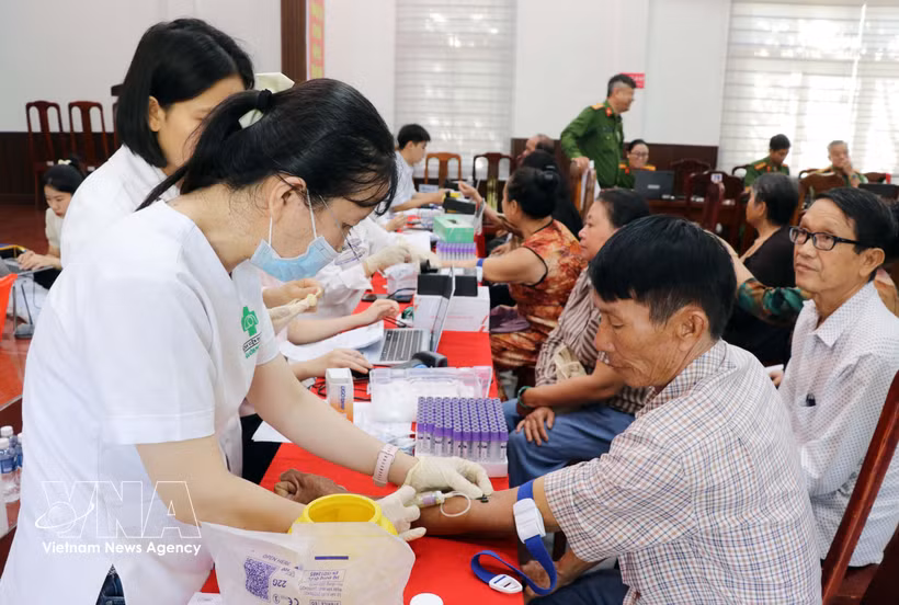 Las muestras de ADN de familiares de soldados caídos se utilizan para crear una base de datos que permita cotejar e identificar los restos de soldados cuya identidad aún se desconoce. (Foto: VNA)