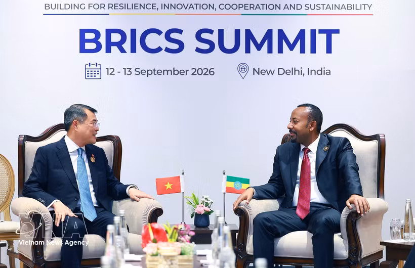 El primer ministro de Vietnam, Le Minh Hung, se reúne con su homólogo etíope, Abiy Ahmed Ali (Fuente: VNA)