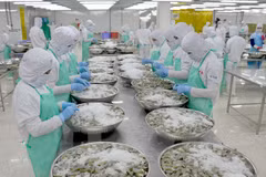Estados Unidos, uno de los socios comerciales más importantes de Vietnam