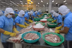 Procesamiento de filetes del pescado Tra en una empresa para la exportación (Fuente: VNA)