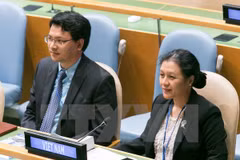 Vietnam reitera papel de ASEAN en mantenimiento de seguridad regional