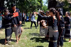 Reviven fiestas tradicionales vietnamitas en ocasión del Tet