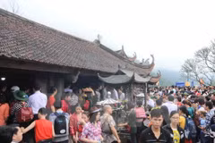 Diversas actividades en saludo a fundación de la Sangha Budista de Vietnam