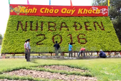 Amplias actividades en Vietnam para saludar Año del Mono
