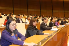 Parlamento de Vietnam aprueba resolución de plan quinquenal de finanzas