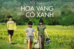 Entregarán premios Cometa de Oro a mejores películas del cine vietnamita