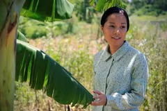 Participará Vietnam en Festival Mundial de Cine de Estreno Filipinas