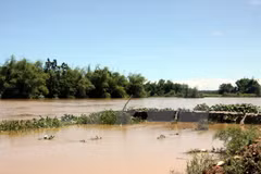 Inundaciones dejan ocho muertos en Vietnam