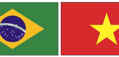 Vietnam-Brasil: Nuevas perspectivas de inversión y comercio agrícola