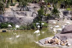 Un día en parque zoológico Vinpearl Safari Phu Quoc
