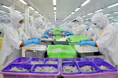 En alza exportaciones de Tien Giang en primer trimestre del año