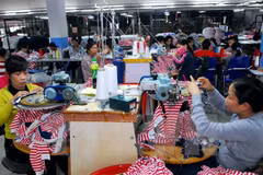 Llaman en Vietnam a inversión europea en zonas industriales