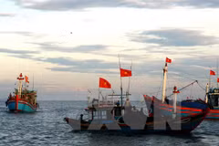 Vietnam impulsa mecanismo internacional para garantizar derechos de pescadores