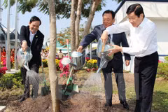Presidente vietnamita llama a impulsar la plantación de árboles