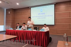 Prioriza Vietnam cooperación internacional en protección de derechos humanos