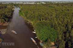 Pueblo flotante de Tan Lap, atractivo destino en provincia vietnamita de Long An