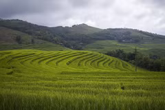 Belleza pacífica de terrazas arroceras en provincia vietnamita de Hoa Binh