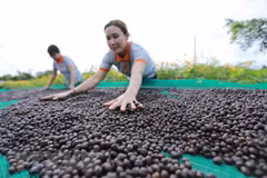 Recuperación económica de Vietnam prosigue segura pese a inestabilidad global