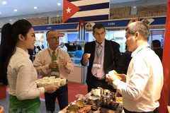 Fomentan en Vietnam planes de apoyo a la producción y exportación