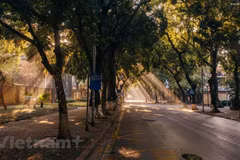 Visita la calle más hermosa de Hanoi en el comienzo del otoño