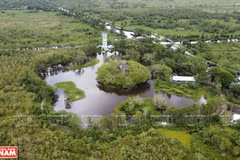 Fortalecen el turismo ecológico en Parque Nacional U Minh Thuong de Vietnam