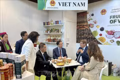 El embajador de Vietnam en Italia, Duong Hai Hung, y el vicepresidente del Comité Popular de la provincia de Lang Son, Doan Thanh Son, conversaron con el presidente de Macfrut, Renzo Piraccini. (Foto: VNA)