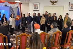 Los delegados en el evento. (Foto: VNA)