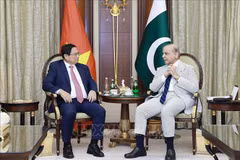 El primer ministro de Vietnam, Pham Minh Chinh, se reúne con su homólogo de Pakistán, Shehbaz Sharif. (Foto: VNA)