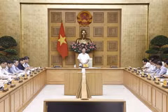 El viceprimer ministro Le Thanh Long habla en la reunión. (Foto: VNA)