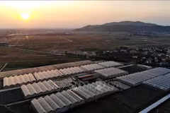 Más cooperativas de la provincia de Bac Giang aplican tecnología 
