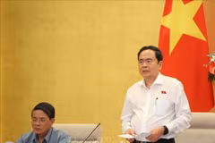 El presidente de la Asamblea Nacional, Tran Thanh Man, preside la reunión. (Foto: VNA)