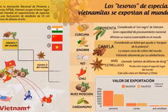Especias vietnamitas se exportan al mundo