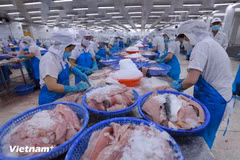 Recomendaciones de la CE sobre IUU constituyen prioridad para Vietnam