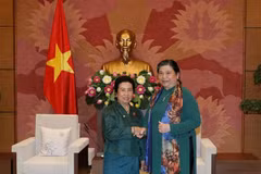 Vietnam y Laos fomentan cooperación en asuntos étnicos