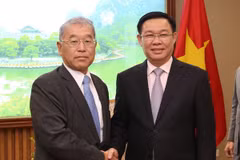 Grupo Mitsubishi acelera proyectos en el sector de energía en Vietnam