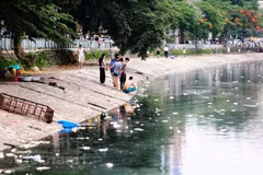 Experto urge la elaboración en Vietnam de una ley de control de contaminación del agua